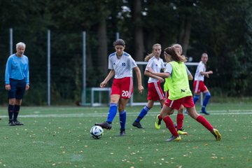 Bild 146 - C-Juniorinnen HSV - Walddoerfer : Ergebnis: 9:1